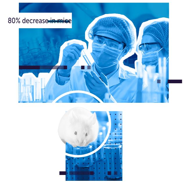 Lab technicians examining test tube and mouse standing on top of test tube. In foreground, a grid of square and the text 80% increase