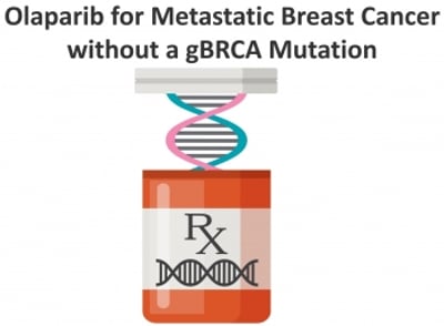 Olaparib Expanded - Treating Metastatic Breast Cancer in People without gBRCA Mutations