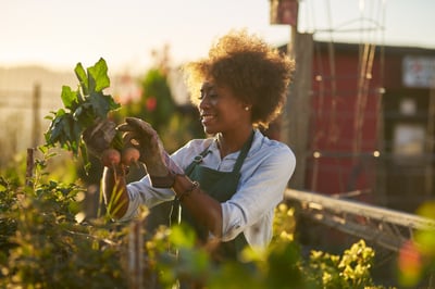 Gardening improves health outcomes for breast cancer patients
