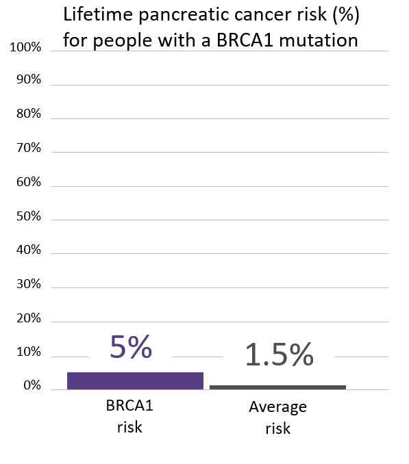 Graph of lifetime risk for pancreatic cancer in people with a <button
                x-data
                class='glossary-tip tt-brca1'
                x-tooltip='<p>BRCA1 is the name of a gene linked to cancer. Inherited mutations in BRCA1 increase the risk for breast (male and female), ovarian, pancreatic, prostate and possibly other cancers and can cause cancer to run in families.</p>'
            >BRCA1</button> mutation