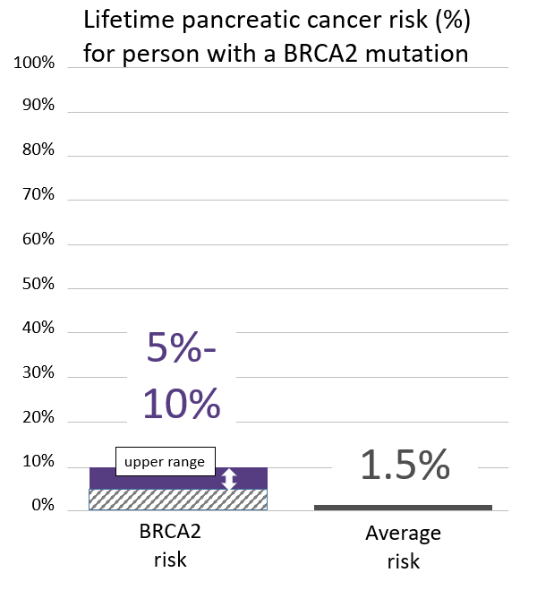 Graph of lifetime risk for pancreatic cancer for a person with a <button
                x-data
                class='glossary-tip tt-brca2'
                x-tooltip='<p>BRCA2&nbsp;is the name of a gene linked to cancer. Inherited mutations in BRCA2&nbsp;increase the risk for breast (male and female), ovarian, pancreatic, prostate, melanoma and possibly other cancers and can cause cancer to run in families.&nbsp;</p>'
            >BRCA2</button> mutation