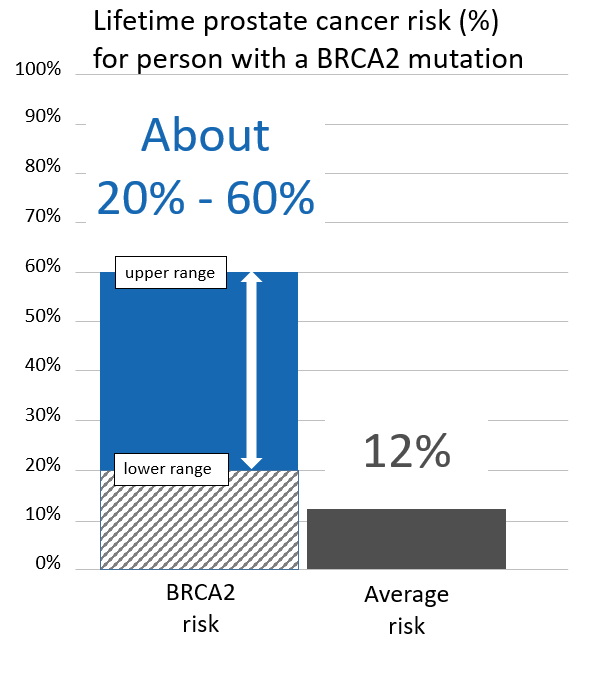 Graph of lifetime risk for prostate cancer in men with a <button
                x-data
                class='glossary-tip tt-brca2'
                x-tooltip='<p>BRCA2&nbsp;is the name of a gene linked to cancer. Inherited mutations in BRCA2&nbsp;increase the risk for breast (male and female), ovarian, pancreatic, prostate, melanoma and possibly other cancers and can cause cancer to run in families.&nbsp;</p>'
            >BRCA2</button> mutation