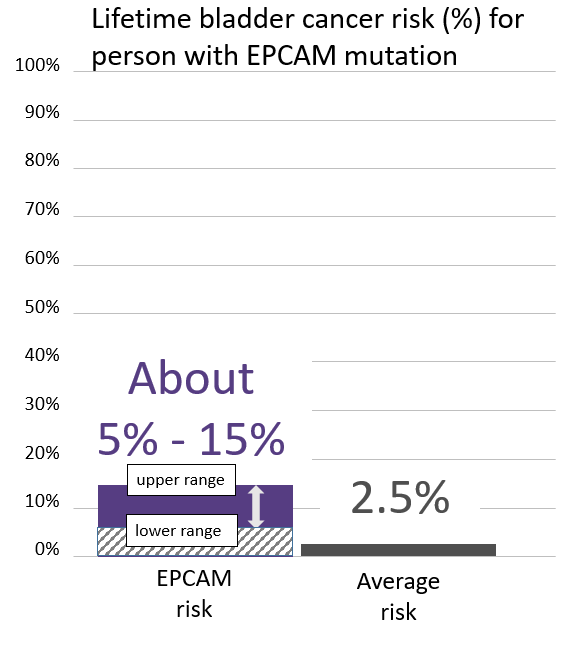 Graph of lifetime risk for bladder cancer in person with <button
                x-data
                class='glossary-tip tt-epcam'
                x-tooltip='<p>EPCAM is the name of a gene linked to cancer. Inherited mutations in EPCAM are associated with Lynch syndrome, which can cause cancer to run in families. People with Lynch syndrome have an&nbsp;increased risk for&nbsp;colorectal, endometrial, ovarian, pancreatic and other cancers.&nbsp;</p>

<p>Also see Lynch syndrome.&nbsp;</p>'
            >EPCAM</button> mutation