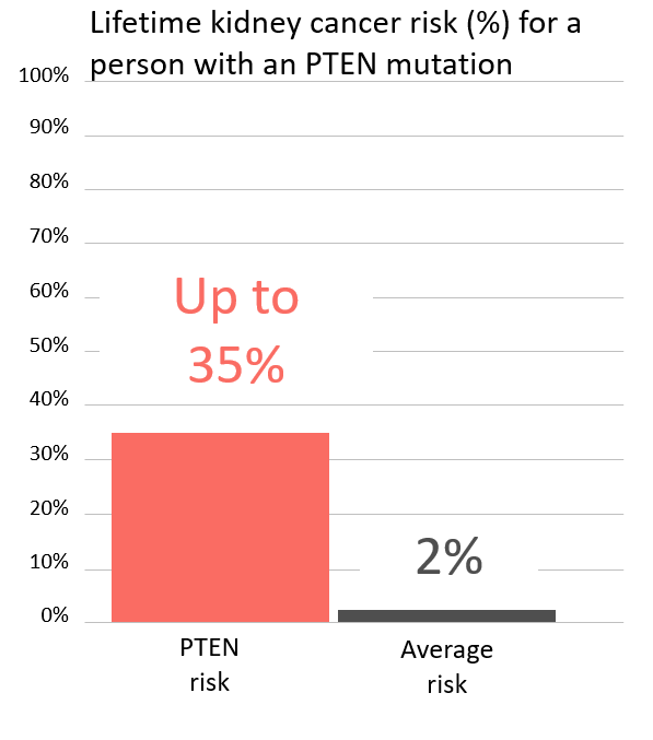 Graph of lifetime risk for kidney cancer in people with a <button
                x-data
                class='glossary-tip tt-pten'
                x-tooltip='<p>PTEN is a gene found on chromosome 10.&nbsp;Mutations in PTEN&nbsp;increase the risk for&nbsp;certain cancers, including breast, uterine, thyroid, colon, kidney, melanoma and possibly other cancers. PTEN mutations may also cause Cowden Syndrome, which is also associated with benign (noncancerous) tumors in the thyroid (goiter), uterus (fibroids), and gastrointestinal tract (polyps).&nbsp; There can also be an excess of autism and autism-like features in PTEN families.</p>

<p>Also see Cowden's Syndrome.</p>
'
            >PTEN</button> mutation