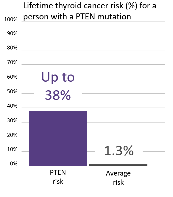 Graph of lifetime risk for thyroid cancer in a person with a <button
                x-data
                class='glossary-tip tt-pten'
                x-tooltip='<p>PTEN is a gene found on chromosome 10.&nbsp;Mutations in PTEN&nbsp;increase the risk for&nbsp;certain cancers, including breast, uterine, thyroid, colon, kidney, melanoma and possibly other cancers. PTEN mutations may also cause Cowden Syndrome, which is also associated with benign (noncancerous) tumors in the thyroid (goiter), uterus (fibroids), and gastrointestinal tract (polyps).&nbsp; There can also be an excess of autism and autism-like features in PTEN families.</p>

<p>Also see Cowden's Syndrome.</p>
'
            >PTEN</button> mutation