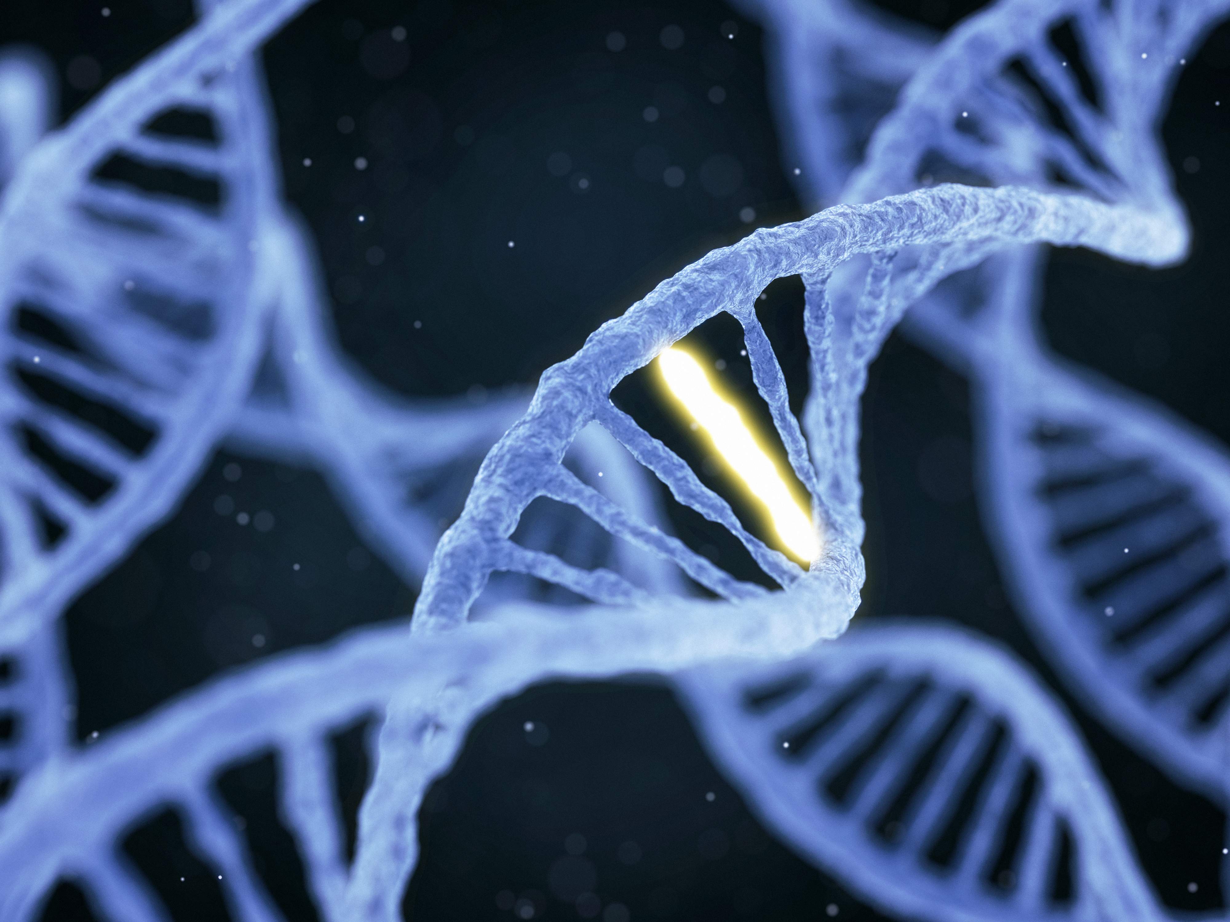 Breast surgeons recommend genetic testing for all breast cancer patients