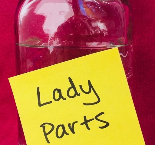 Devin Sidell’s Lady Parts The Film