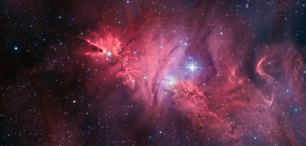 Astrophysics Meets Breast Cancer Advocacy