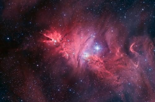 Astrophysics Meets Breast Cancer Advocacy