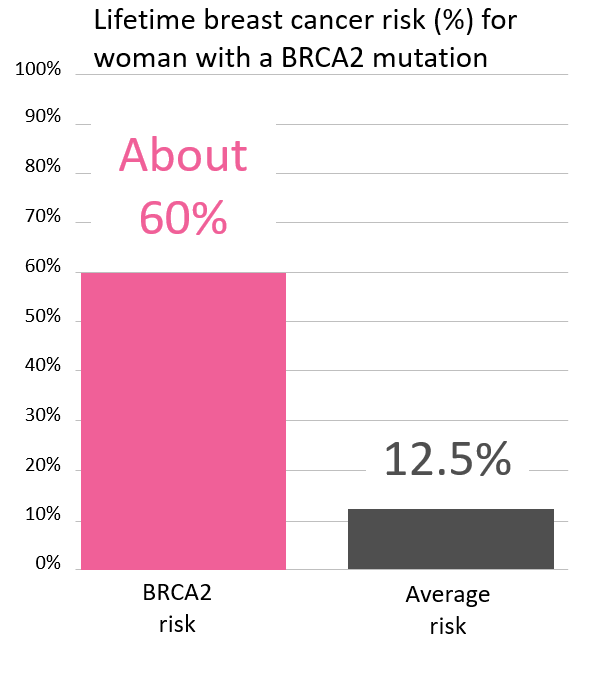 Graph of lifetime risk of breast cancer in women with a <button
                x-data
                class='glossary-tip tt-brca2'
                x-tooltip='<p>BRCA2&nbsp;is the name of a gene linked to cancer. Inherited mutations in BRCA2&nbsp;increase the risk for breast (male and female), ovarian, pancreatic, prostate, melanoma and possibly other cancers and can cause cancer to run in families.&nbsp;</p>'
            >BRCA2</button> mutation