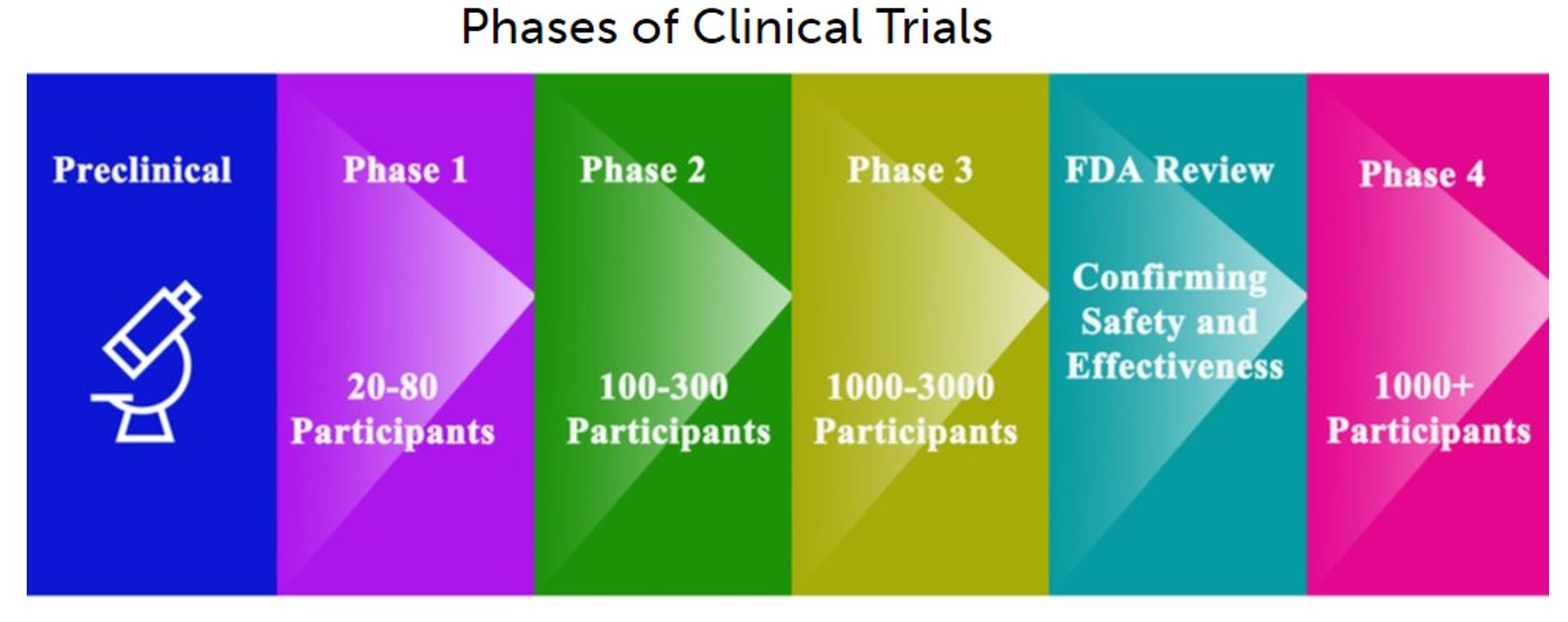 Image showing 6 phases of clinical trials