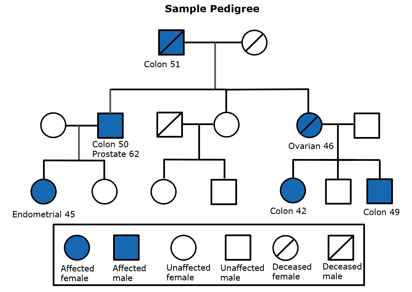 Picture of a sample pedigree