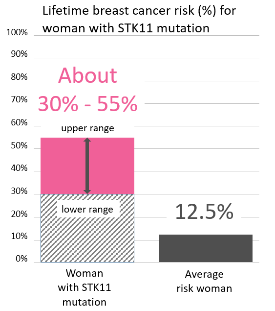 Graph of lifetime risk for breast cancer in women with an <button
                x-data
                class='glossary-tip tt-stk11'
                x-tooltip='<p>STK11 is a gene found on chromosome 19.&nbsp;Mutations in STK11 are associated with Peutz-Jeghers syndrome, a rare disorder that leads to increased risk of noncancerous growths and increased risk of certain cancers.&nbsp;</p>

<p>People with STK11 mutations are at a greatly increased risk of:</p>

<p>breast cancer in women (up to 50% lifetime risk)<br />
colon cancer (up to 39% lifetime risk)<br />
pancreatic cancer (up to 36% lifetime risk)<br />
stomach cancer (up to 29% lifetime risk)<br />
ovarian cancer (up to 21% lifetime risk)<br />
lung cancer (up to 17% lifetime risk)<br />
small intestine cancer (up to 13% lifetime risk)<br />
cervical cancer (up to 10% lifetime risk)<br />
uterine cancer (up to 9% lifetime risk)</p>

<p>See also Peutz-Jeghers Syndrome&nbsp;</p>
'
            >STK11</button> mutation