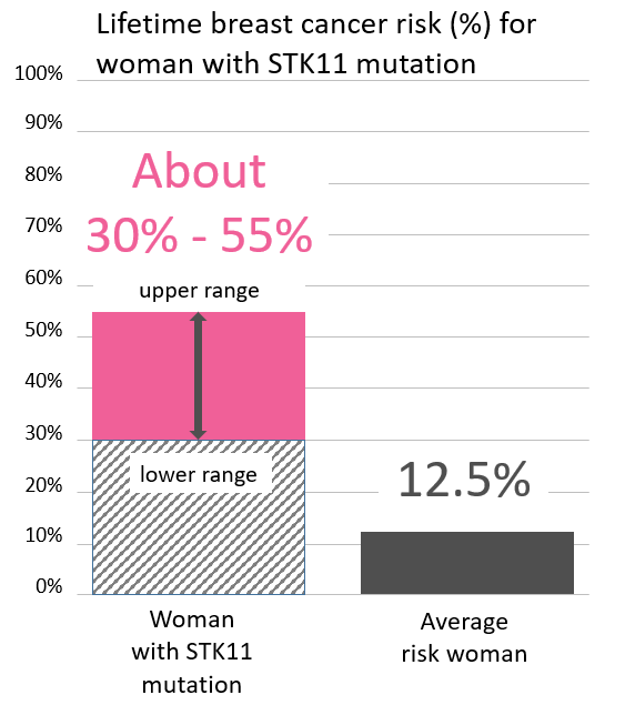 Graph of lifetime risk for breast cancer in women with an <button
                x-data
                class='glossary-tip tt-stk11'
                x-tooltip='<p>STK11 is a gene found on chromosome 19.&nbsp;Mutations in STK11 are associated with Peutz-Jeghers syndrome, a rare disorder that leads to increased risk of noncancerous growths and increased risk of certain cancers.&nbsp;</p>

<p>People with STK11 mutations are at a greatly increased risk of:</p>

<p>breast cancer in women (up to 50% lifetime risk)<br />
colon cancer (up to 39% lifetime risk)<br />
pancreatic cancer (up to 36% lifetime risk)<br />
stomach cancer (up to 29% lifetime risk)<br />
ovarian cancer (up to 21% lifetime risk)<br />
lung cancer (up to 17% lifetime risk)<br />
small intestine cancer (up to 13% lifetime risk)<br />
cervical cancer (up to 10% lifetime risk)<br />
uterine cancer (up to 9% lifetime risk)</p>

<p>See also Peutz-Jeghers Syndrome&nbsp;</p>
'
            >STK11</button> mutation