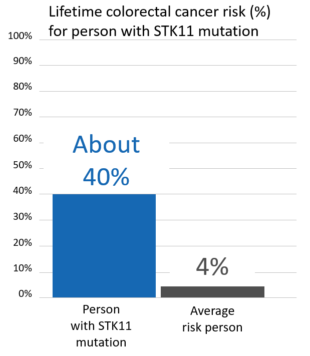 Graph of lifetime risk for colorectal cancer in people with an <button
                x-data
                class='glossary-tip tt-stk11'
                x-tooltip='<p>STK11 is a gene found on chromosome 19.&nbsp;Mutations in STK11 are associated with Peutz-Jeghers syndrome, a rare disorder that leads to increased risk of noncancerous growths and increased risk of certain cancers.&nbsp;</p>

<p>People with STK11 mutations are at a greatly increased risk of:</p>

<p>breast cancer in women (up to 50% lifetime risk)<br />
colon cancer (up to 39% lifetime risk)<br />
pancreatic cancer (up to 36% lifetime risk)<br />
stomach cancer (up to 29% lifetime risk)<br />
ovarian cancer (up to 21% lifetime risk)<br />
lung cancer (up to 17% lifetime risk)<br />
small intestine cancer (up to 13% lifetime risk)<br />
cervical cancer (up to 10% lifetime risk)<br />
uterine cancer (up to 9% lifetime risk)</p>

<p>See also Peutz-Jeghers Syndrome&nbsp;</p>
'
            >STK11</button> mutation