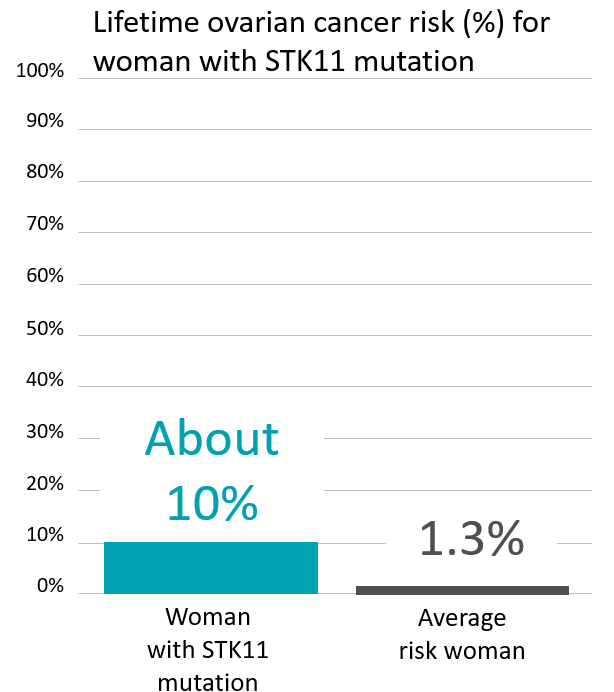 Graph of lifetime ovarian cancer risk in women with an <button
                x-data
                class='glossary-tip tt-stk11'
                x-tooltip='<p>STK11 is a gene found on chromosome 19.&nbsp;Mutations in STK11 are associated with Peutz-Jeghers syndrome, a rare disorder that leads to increased risk of noncancerous growths and increased risk of certain cancers.&nbsp;</p>

<p>People with STK11 mutations are at a greatly increased risk of:</p>

<p>breast cancer in women (up to 50% lifetime risk)<br />
colon cancer (up to 39% lifetime risk)<br />
pancreatic cancer (up to 36% lifetime risk)<br />
stomach cancer (up to 29% lifetime risk)<br />
ovarian cancer (up to 21% lifetime risk)<br />
lung cancer (up to 17% lifetime risk)<br />
small intestine cancer (up to 13% lifetime risk)<br />
cervical cancer (up to 10% lifetime risk)<br />
uterine cancer (up to 9% lifetime risk)</p>

<p>See also Peutz-Jeghers Syndrome&nbsp;</p>
'
            >STK11</button> mutation