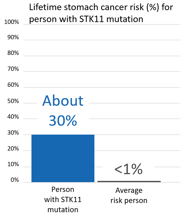 Graph of lifetime risk of stomach cancer risk of a person with <button
                x-data
                class='glossary-tip tt-stk11'
                x-tooltip='<p>STK11 is a gene found on chromosome 19.&nbsp;Mutations in STK11 are associated with Peutz-Jeghers syndrome, a rare disorder that leads to increased risk of noncancerous growths and increased risk of certain cancers.&nbsp;</p>

<p>People with STK11 mutations are at a greatly increased risk of:</p>

<p>breast cancer in women (up to 50% lifetime risk)<br />
colon cancer (up to 39% lifetime risk)<br />
pancreatic cancer (up to 36% lifetime risk)<br />
stomach cancer (up to 29% lifetime risk)<br />
ovarian cancer (up to 21% lifetime risk)<br />
lung cancer (up to 17% lifetime risk)<br />
small intestine cancer (up to 13% lifetime risk)<br />
cervical cancer (up to 10% lifetime risk)<br />
uterine cancer (up to 9% lifetime risk)</p>

<p>See also Peutz-Jeghers Syndrome&nbsp;</p>
'
            >STK11</button> mutation