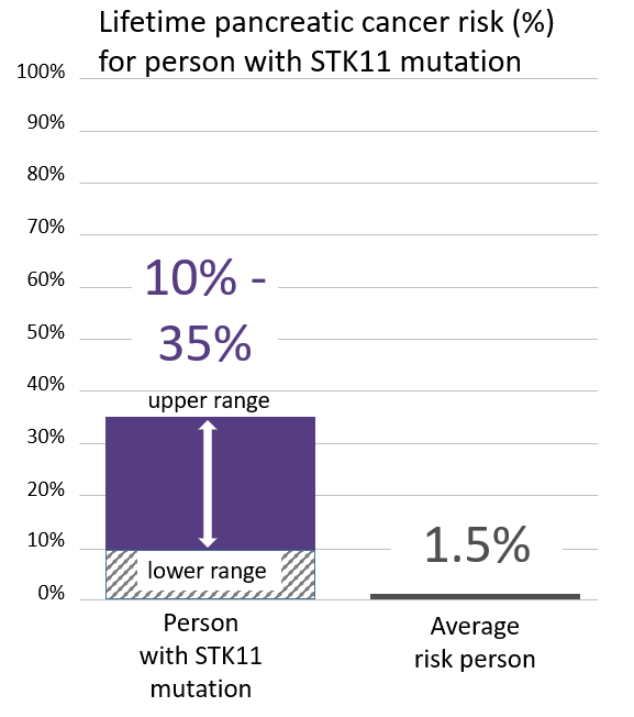 Graph of lifetime risk for pancreatic cancer in people with an <button
                x-data
                class='glossary-tip tt-stk11'
                x-tooltip='<p>STK11 is a gene found on chromosome 19.&nbsp;Mutations in STK11 are associated with Peutz-Jeghers syndrome, a rare disorder that leads to increased risk of noncancerous growths and increased risk of certain cancers.&nbsp;</p>

<p>People with STK11 mutations are at a greatly increased risk of:</p>

<p>breast cancer in women (up to 50% lifetime risk)<br />
colon cancer (up to 39% lifetime risk)<br />
pancreatic cancer (up to 36% lifetime risk)<br />
stomach cancer (up to 29% lifetime risk)<br />
ovarian cancer (up to 21% lifetime risk)<br />
lung cancer (up to 17% lifetime risk)<br />
small intestine cancer (up to 13% lifetime risk)<br />
cervical cancer (up to 10% lifetime risk)<br />
uterine cancer (up to 9% lifetime risk)</p>

<p>See also Peutz-Jeghers Syndrome&nbsp;</p>
'
            >STK11</button> mutation